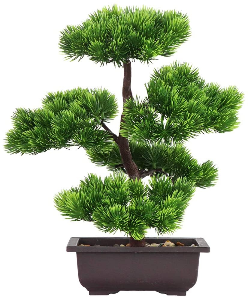 Japanese Garden Bonsai - Japanse dennenbonsaiplant voor huisdecoratie, potplanten voor