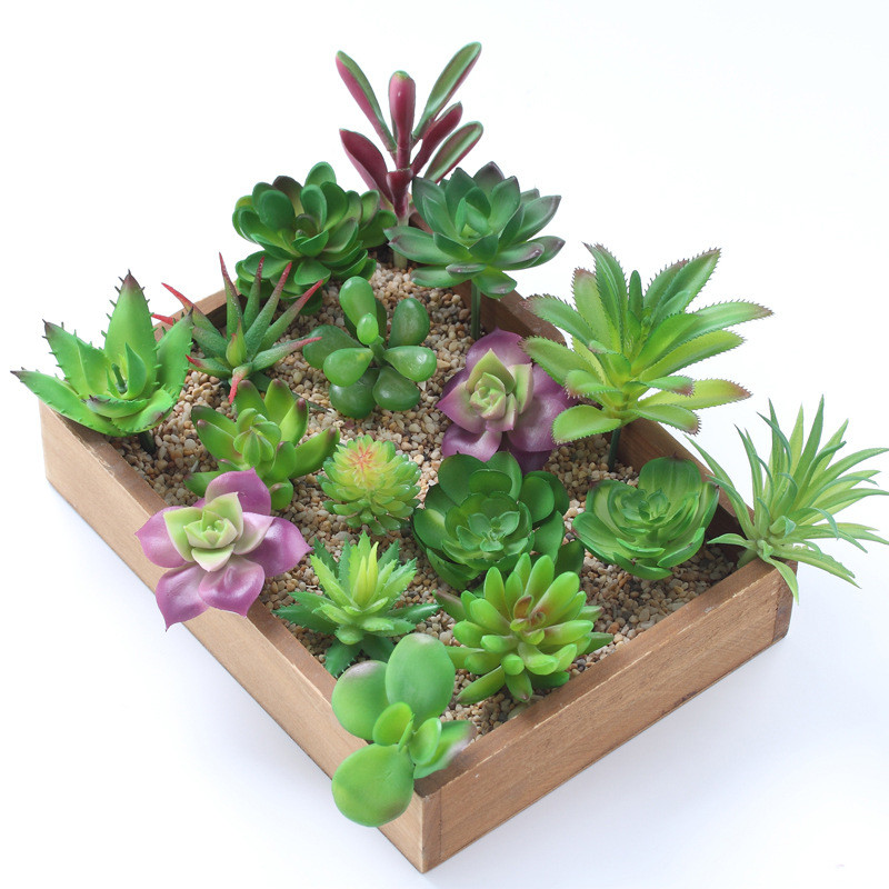 2021 Kunstmatige Vetplanten Pl - Bonsai Garden Mini recensie en prijs