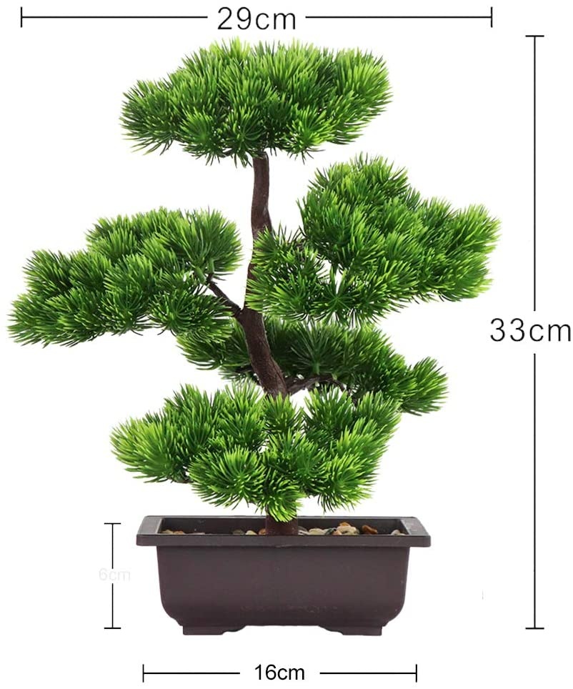 Japanse dennenbonsaiplant voor - Japanese Garden Bonsai recensie en prijs