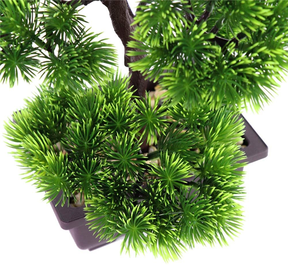 Japanse dennenbonsaiplant voor - Japanese Garden Bonsai recensie en prijs