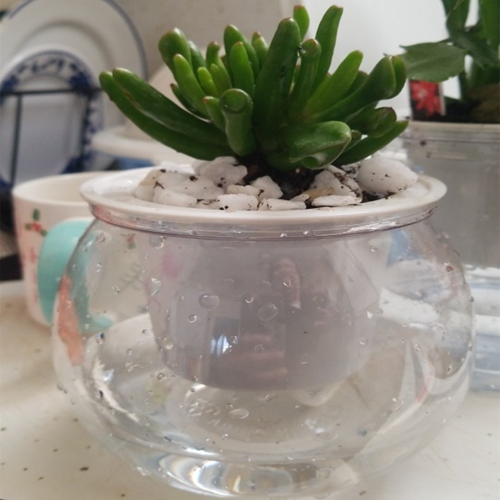 Self Watering Planter Potten M - Japanese Garden Bonsai recensie en prijs