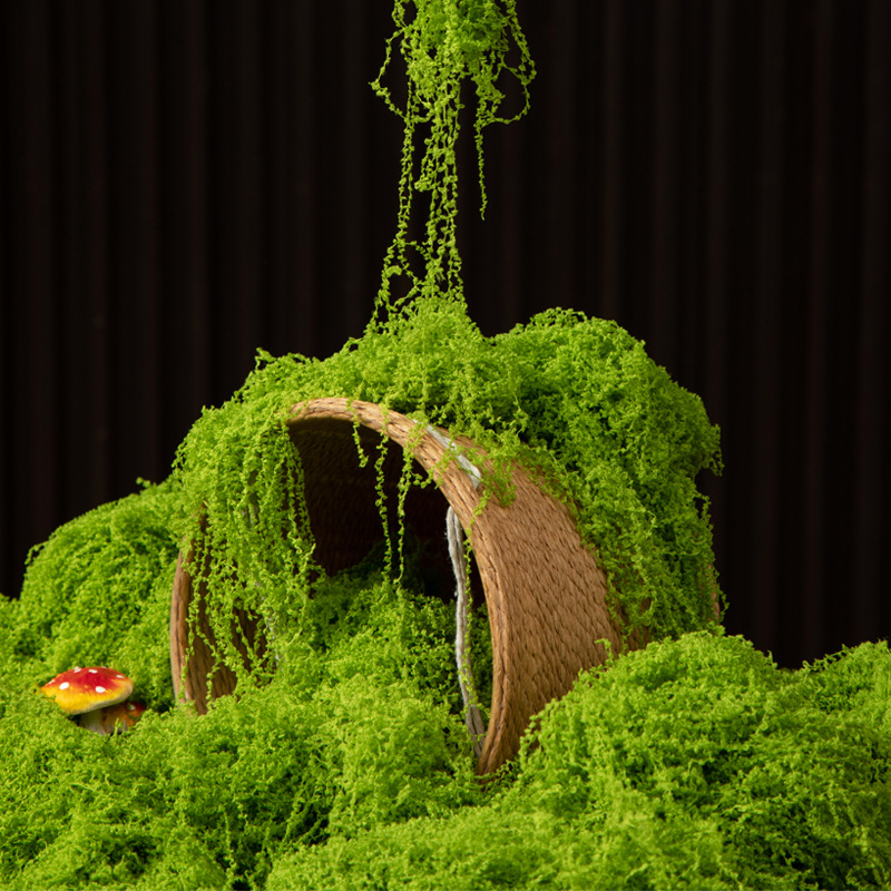 200g Eeuwig leven mos DIY amba - Bonsai Garden Mini recensie en prijs