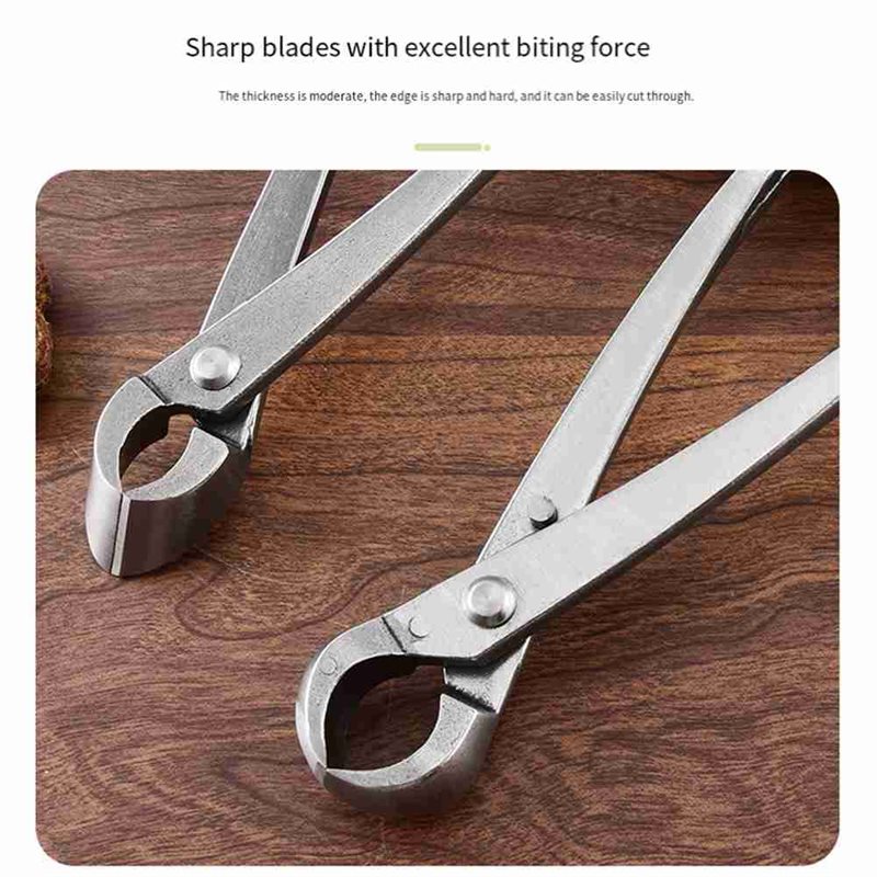 SHGO-Bonsai Boomgereedschapset - Root Hook Tool recensie en prijs