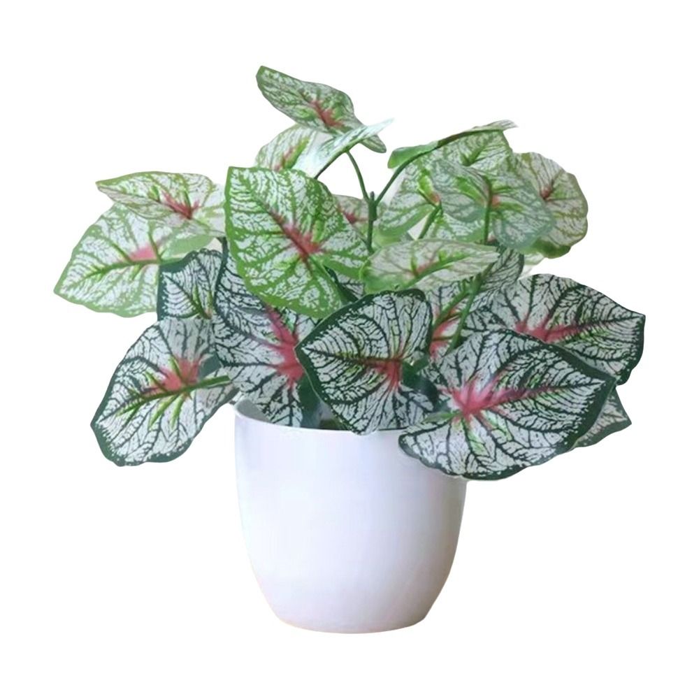 Miniatuur nep bloempotten bons - Bonsai Garden Mini recensie en prijs