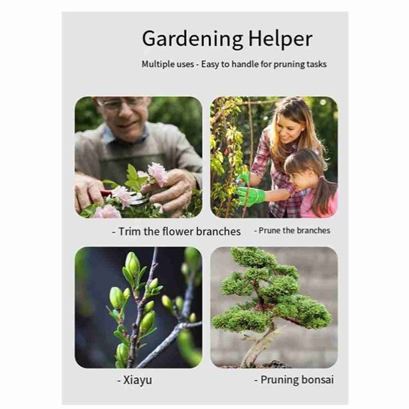 ABGH-Bonsai Gereedschapset, 4- - Root Hook Tool recensie en prijs
