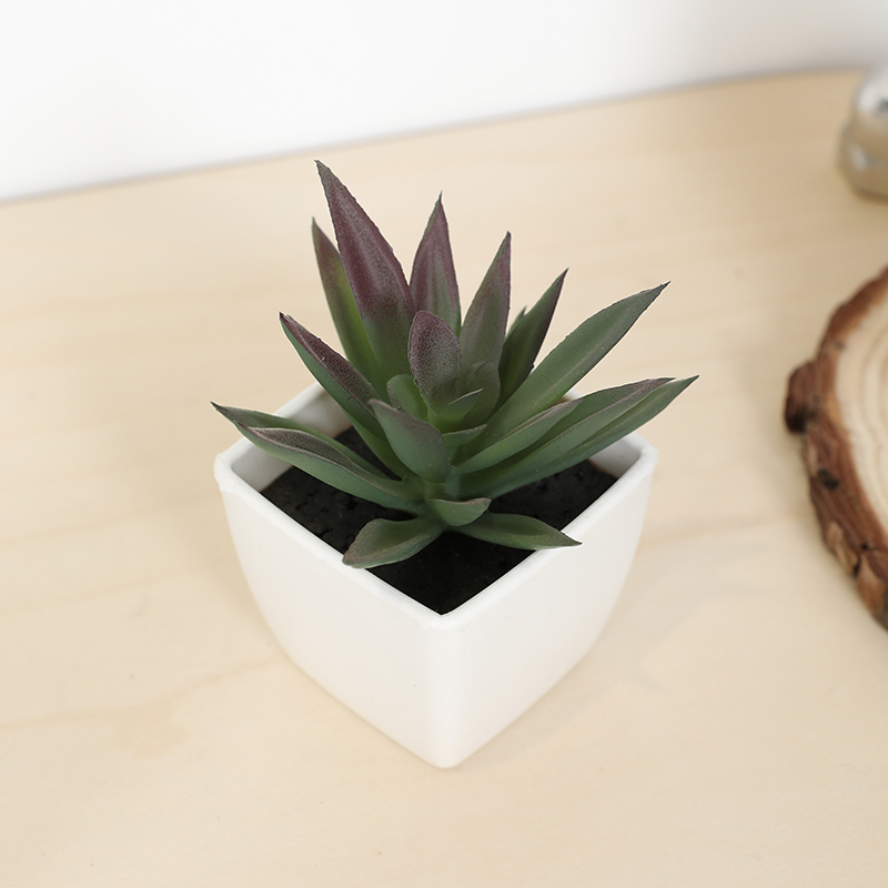 Mini Kunstmatige Succulente Fe - Bonsai Garden Mini recensie en prijs